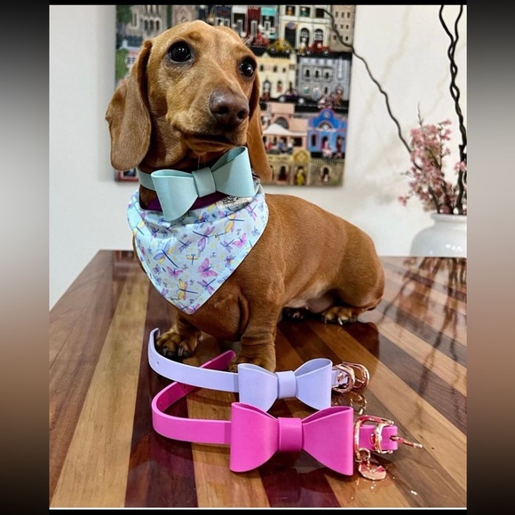 Snow Drop Leather Dog Collar | Gold Hardware & Removable Bow | Small - Picture 7 of 12